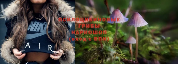 2c-b Магас