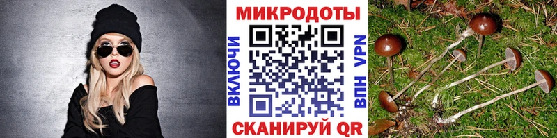 Галлюциногенные грибы Psilocybe  это Telegram  Суоярви  гидра вход 